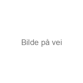 Elgkjøtt